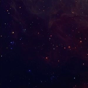 Meet your Posher, Andraus